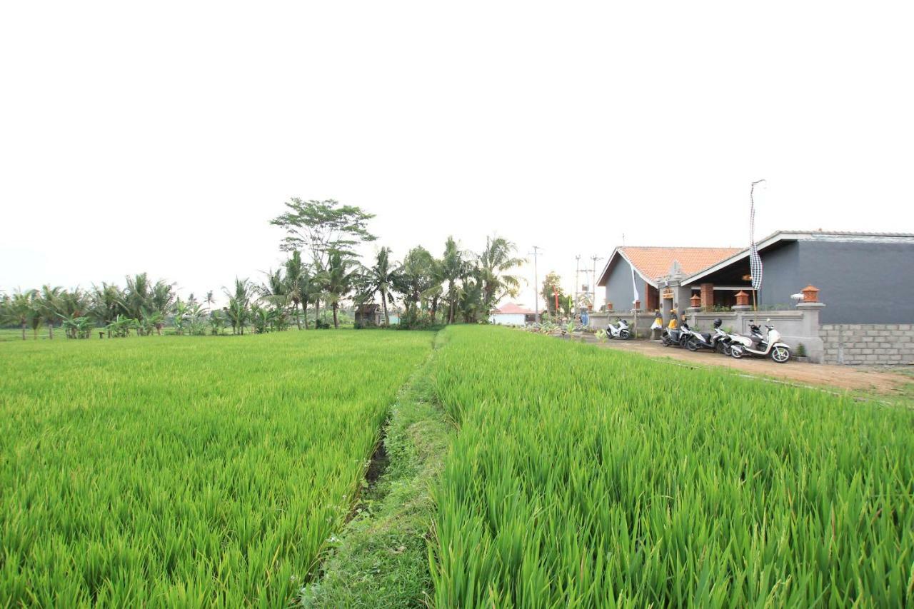 Hotel Ayuna Family Ubud Exterior foto