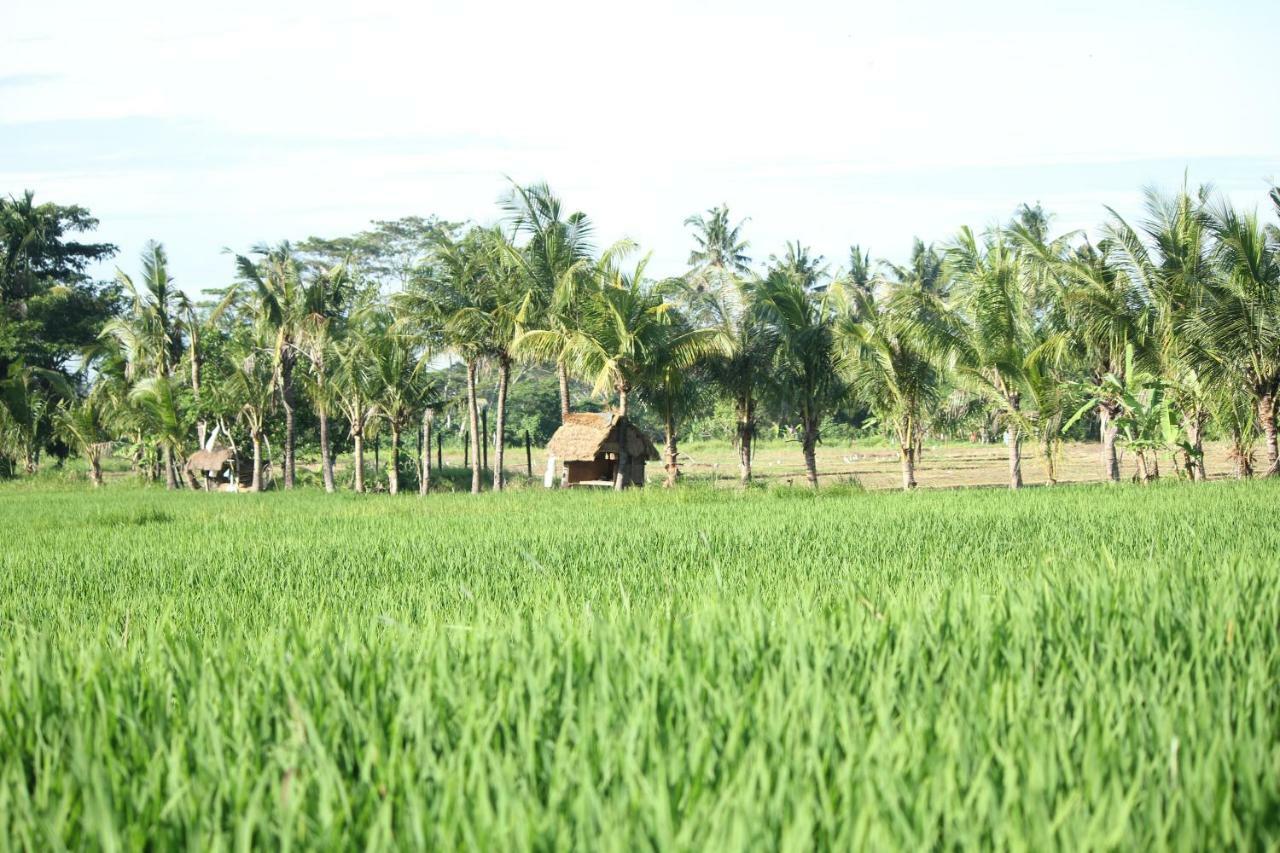 Hotel Ayuna Family Ubud Exterior foto