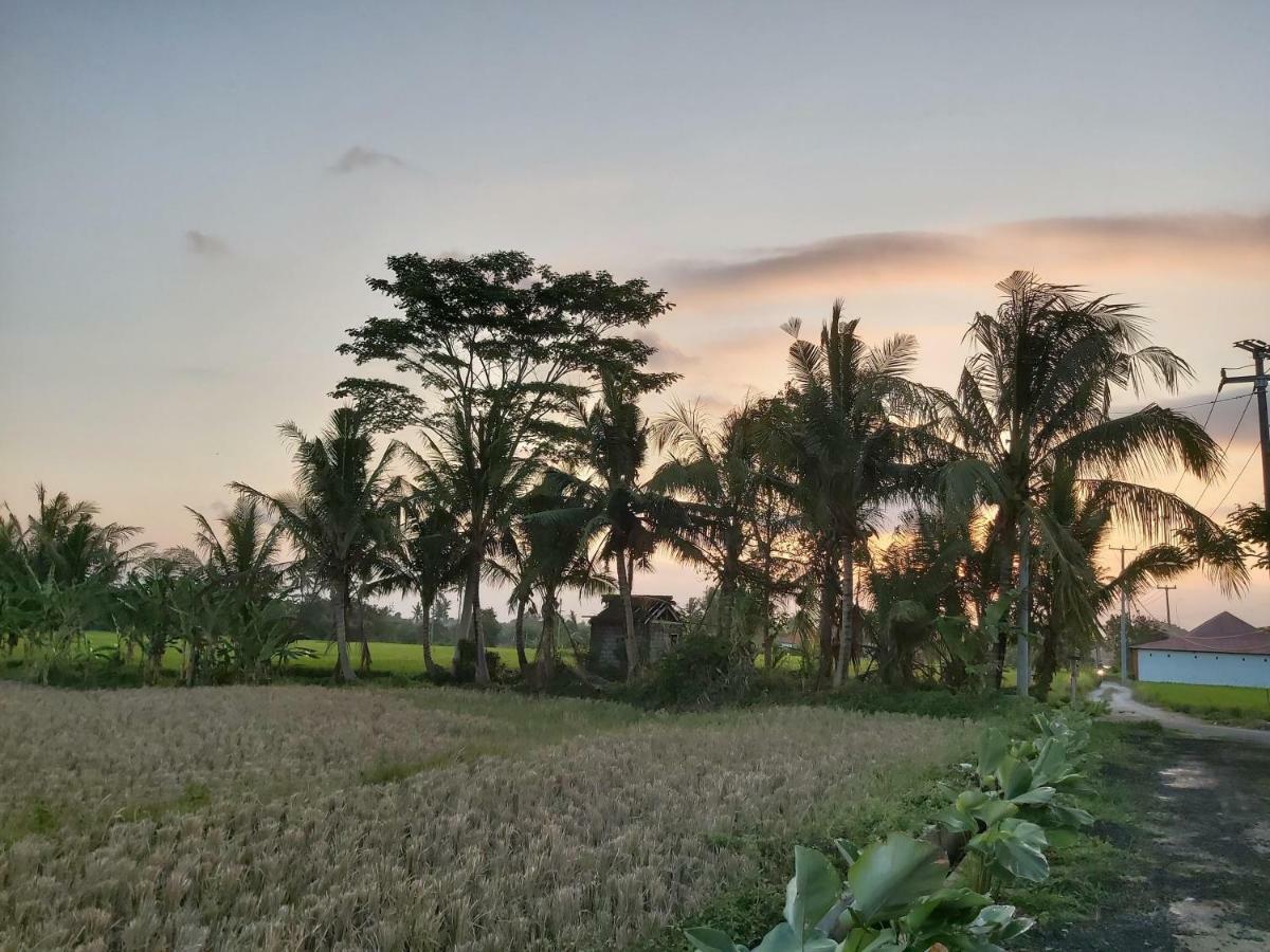 Hotel Ayuna Family Ubud Exterior foto