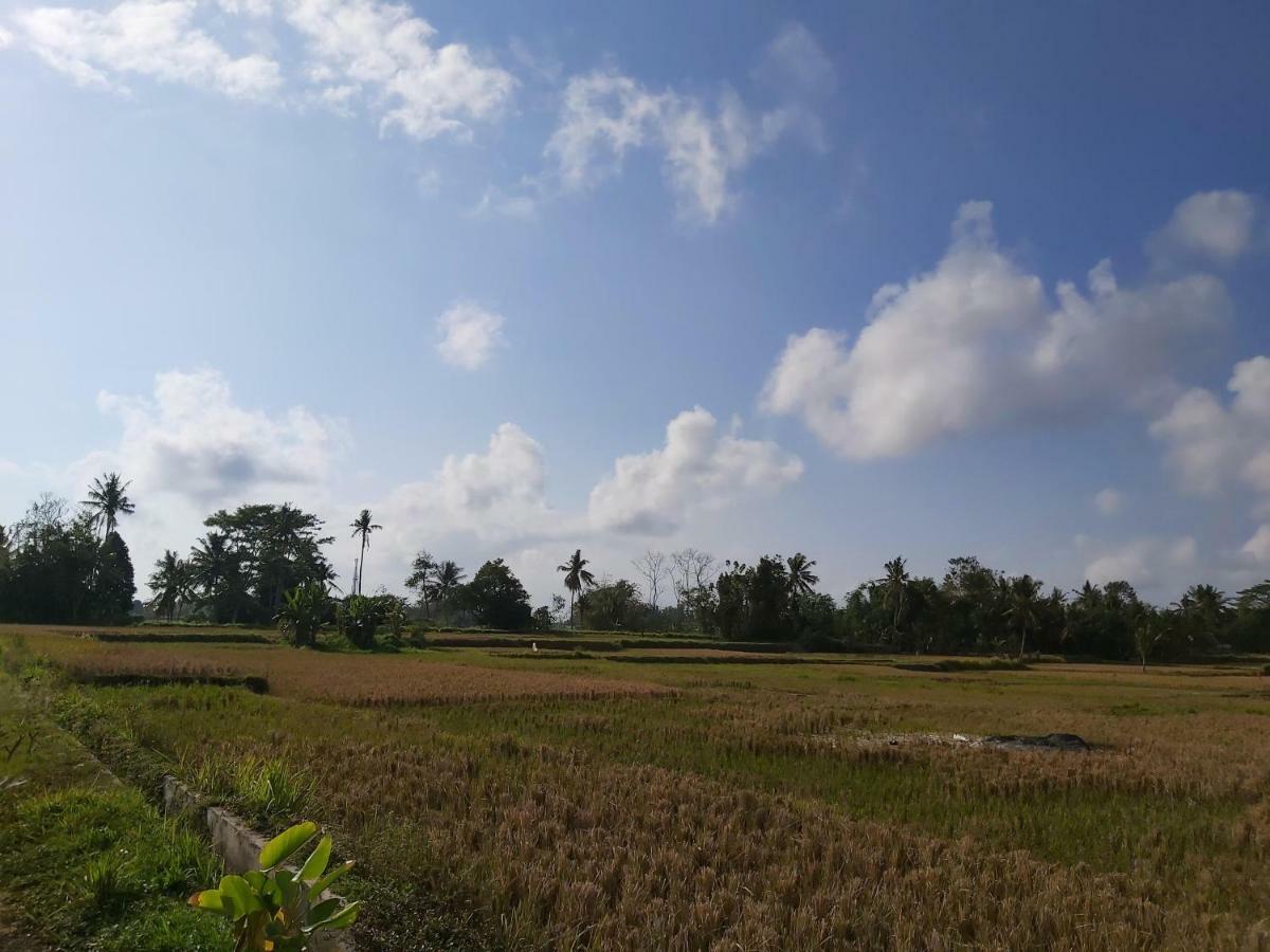 Hotel Ayuna Family Ubud Exterior foto