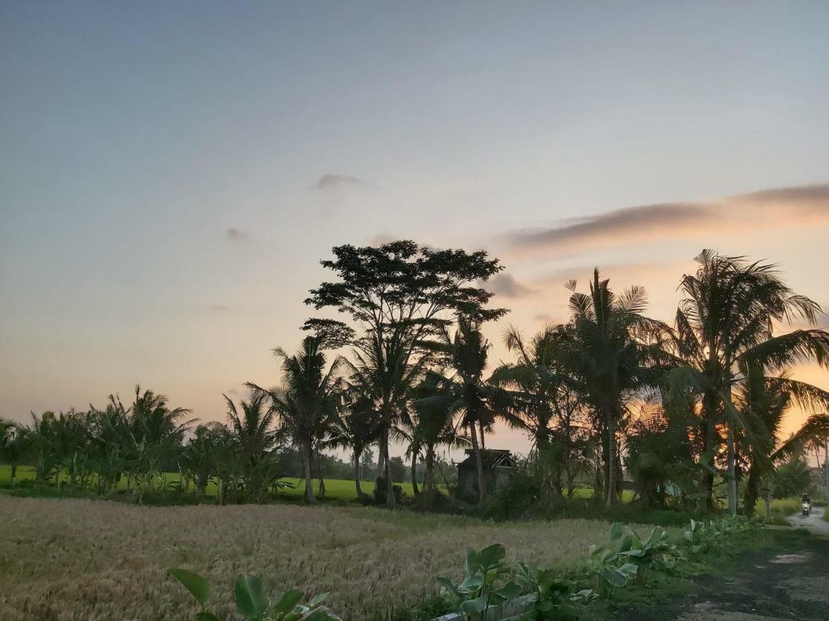 Hotel Ayuna Family Ubud Exterior foto